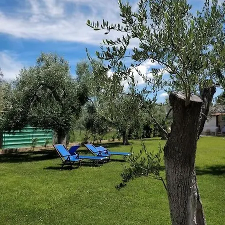 Pecorelli House Holiday home